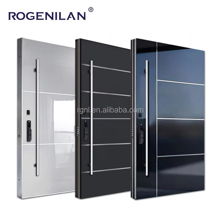 Security Steel Door
